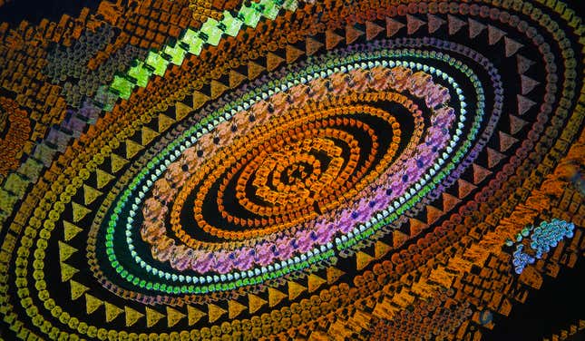 Image for article titled Feather scales, pollen grains, and a single teardrop: what photos of the microscopic world reveal