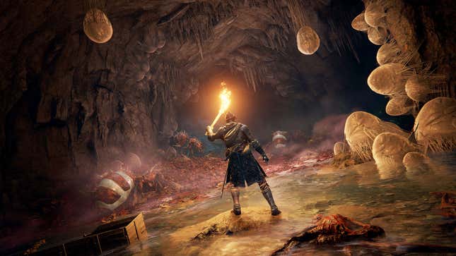A warrior holds up a torch to illuminate a cavern filled with giant ants.