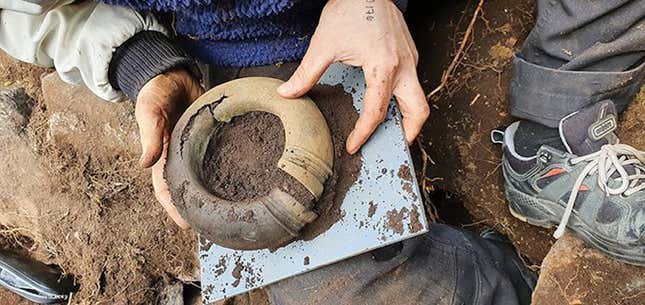 Imagen para el artículo titulado Un hombre encuentra en un bosque de Suecia un tesoro de la Edad de Bronce de hace 2500 años