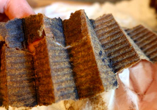 Image for article titled My Car Ran Low On Oil. Here Are The Tests I Ran To Assess The Damage