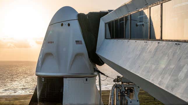 Una nave Crew Dragon de SpaceX antes de su lanzamiento en la misión Crew-4 de la NASA en abril de 2022.