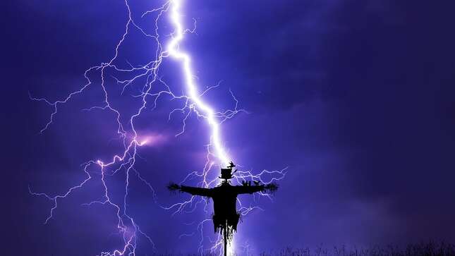 Tres hermanos se hacen un selfie en el momento exacto en que les alcanza un rayo