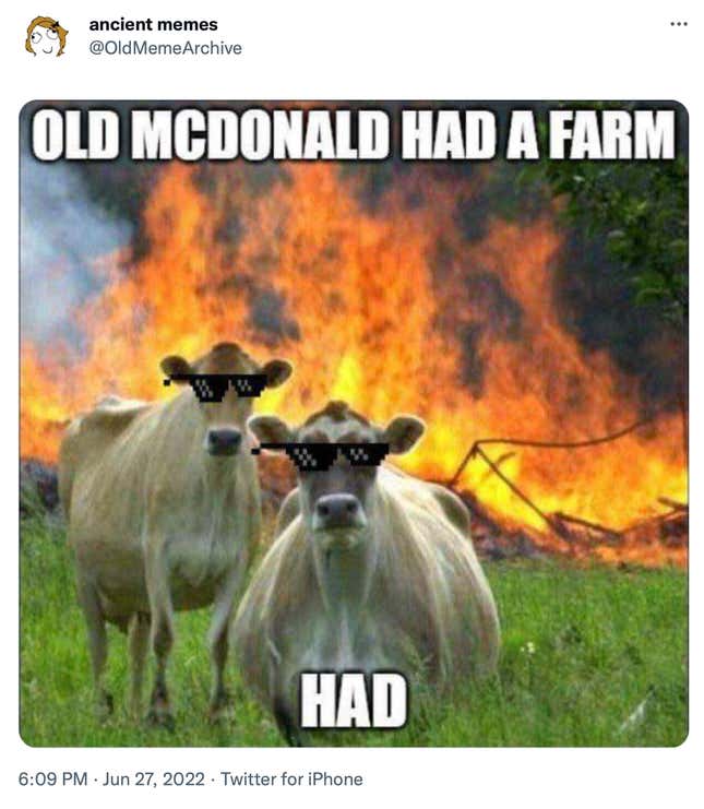 An image of cows wearing black sunglasses in front of a fire.