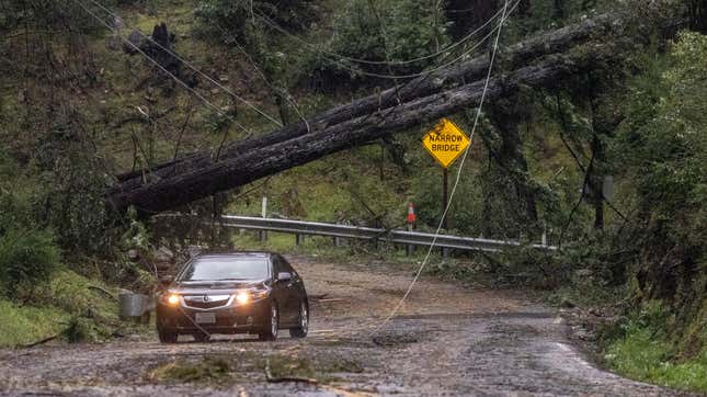 A vehicle drives past fallen trees along Big Basin Way during the latest atmospheric storm event in Boulder Creek, Calif. Tuesday, March 21, 2023.