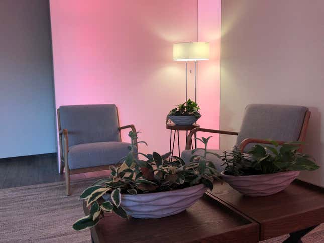The deceptively soothing antechamber with boat-shaped planters.