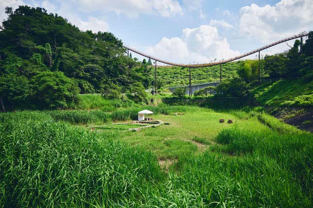 A grassy field where you’d expect to find Pokémon.