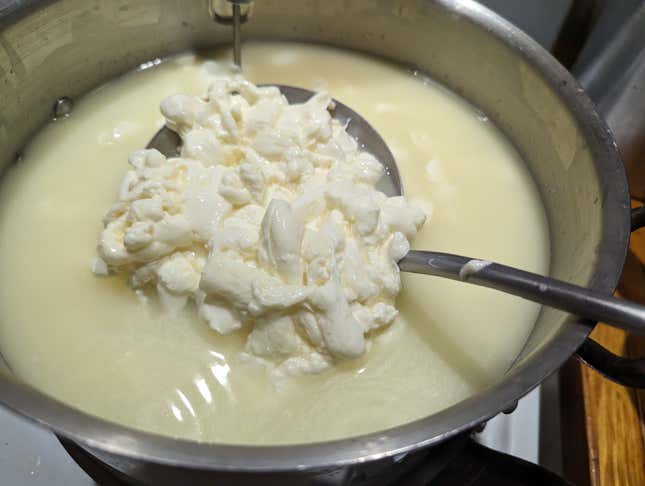 Image for article titled The Easiest Way to Make Fresh Mozzarella (and Burrata)