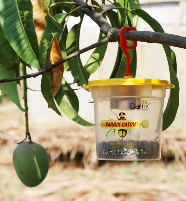 A fruit fly trap made by Barrix Agro.