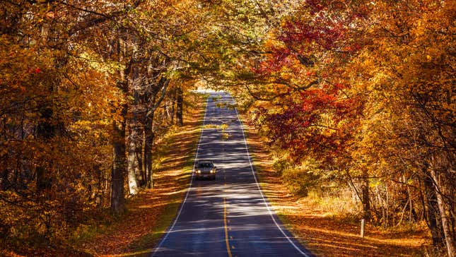 Image for article titled 10 of the Most Stunning Places to See Fall Foliage in the US