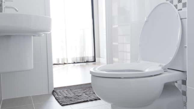 Image for article titled Fix Your Own Wobbly Toilet Seat