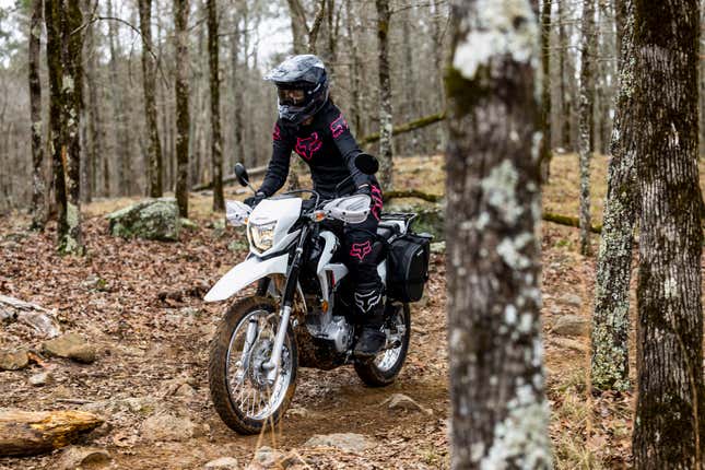 Image for article titled The $3,000 Honda XR150L Wants to Make You a Motorcyclist