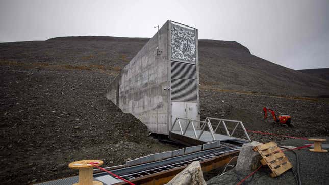 A light gray structure—the vault's entrance—protrudes from the dark grey soil of Svalbard.