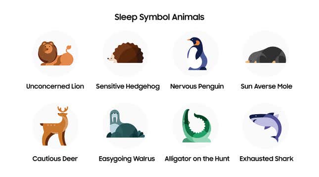 A photo of the sleep animals