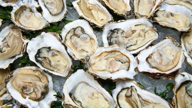 Image for article titled Should We Really Be Eating Raw Oysters?