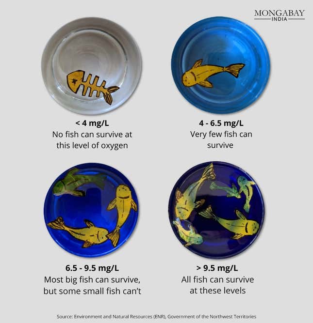 The diagram symbolically represents the DO levels and corresponding tolerance ranges for fish populations.