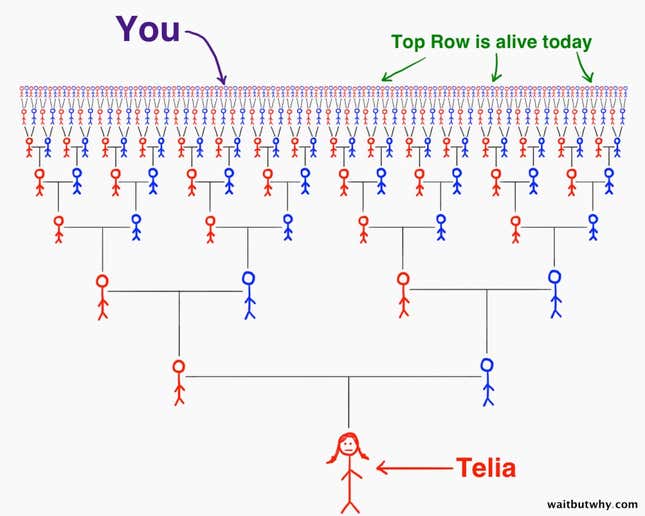 Image for article titled Everyone on Earth is actually your cousin