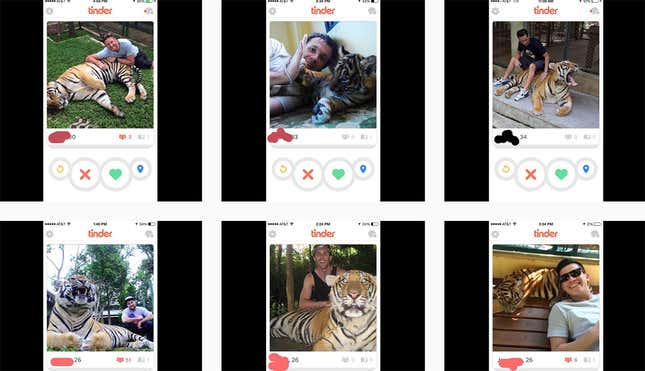 Instagram/@tinderguyswithtigers