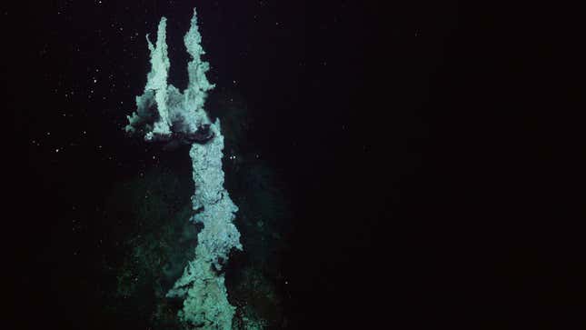 This chimney structure was formed by minerals precipitating from the hydrothermal fluids as they come in contact with the ocean’s cold water, at a depth of 2.3 miles (3680 meters).