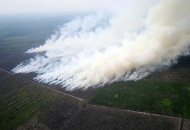 Clearing land in the Riau province.