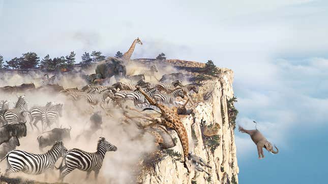 Image for article titled Lions, Zebras, Giraffes Run Off Cliff Shrieking En Masse As Shadow Of Melania Trump’s Jet Passes Over Savanna