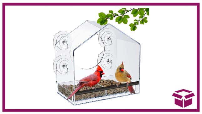Watch all your feathered friends right from your window with this feeder. 