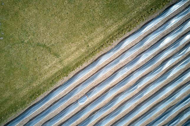 Image for article titled Aerial photos reveal the hypnotic geometry of farming