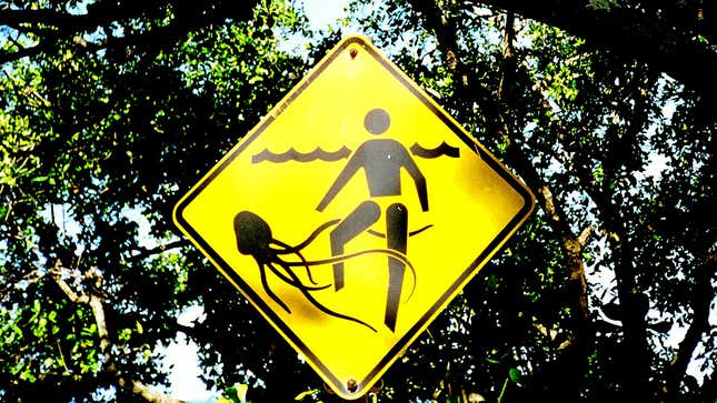 How Australia warns people about box jellyfish.