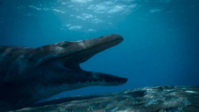 A large sea predator, Mosasaurus, lies on a coral reef.