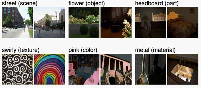 Samples from MIT’s Broden database