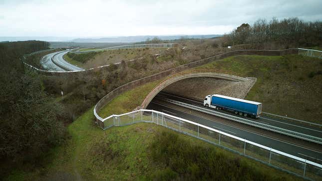 A photo of a wildlife bridge crossing a highway. 