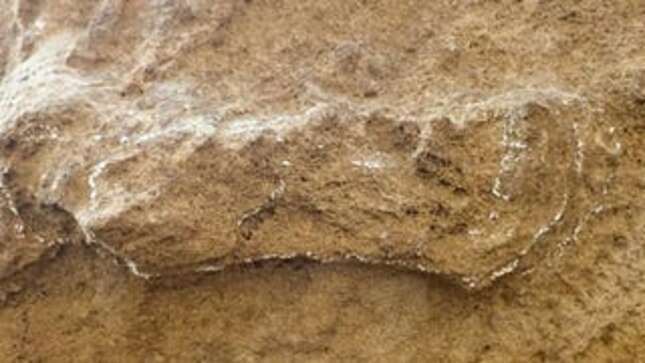 Encuentran en Sudáfrica la huella humana más antigua del mundo