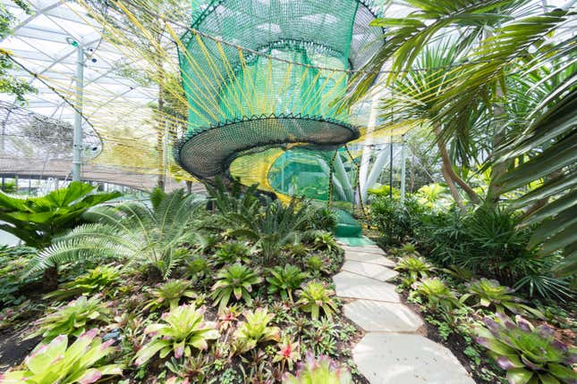 Bouncing Nets at Canopy Park