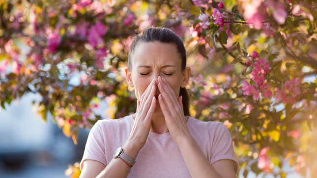 Image for article titled It&#39;s Time to Start Taking Your Spring Allergies Seriously