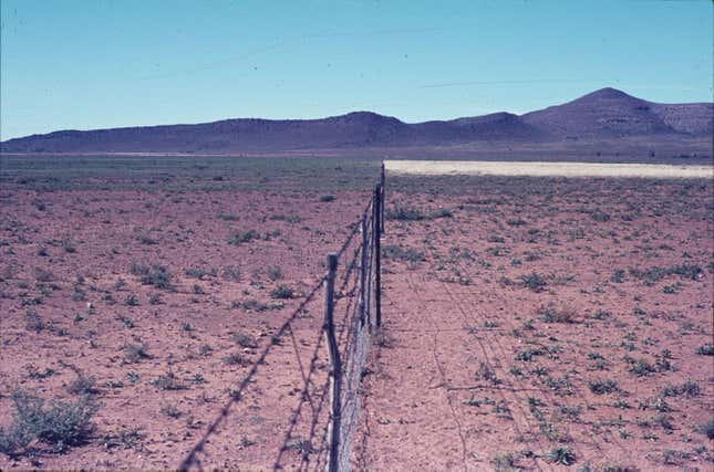 Historical photograph of Erin Farm in the Eastern Cape taken by John Acocks in May 1971.