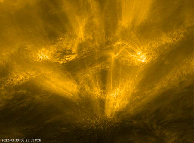 Image for article titled Solar Orbiter Captures Dazzling Images of the Sun&#39;s Chaotic Activity