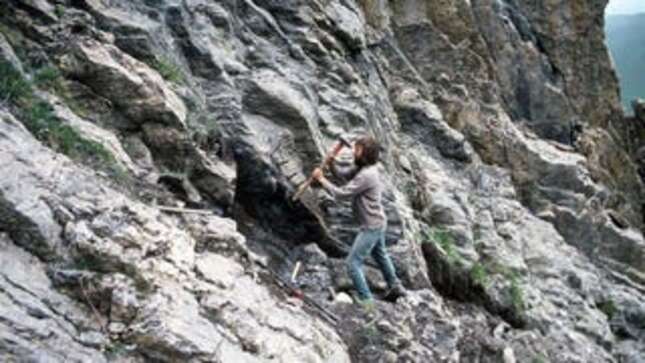 Un paleontólogo excavando en los Alpes suizos en 1976