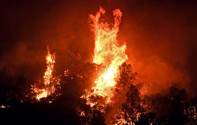 High winds cause tree canopies to flare up as a wildfire burns east of Midpines in Mariposa County, Calif., Friday, July 22, 2022