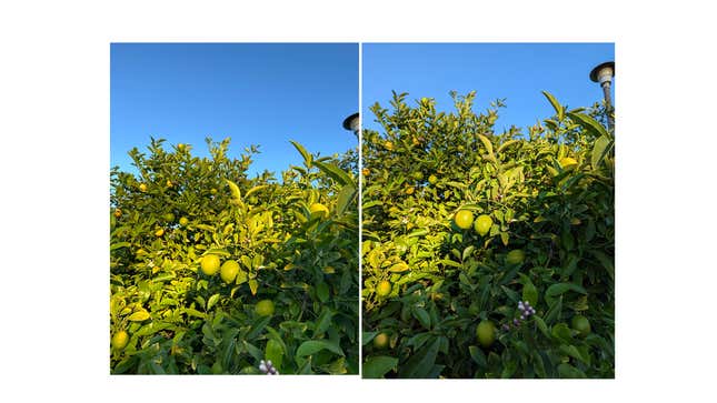 A photo sample comparing the iPhone 14 and Pixel 7 