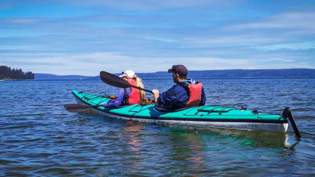 Kayakers wearing personal flotation devices (PFDS).