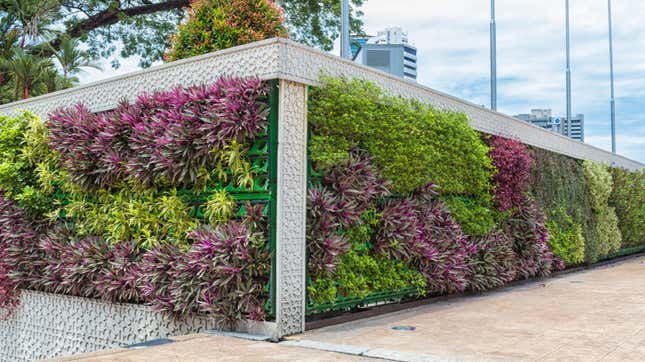 Image for article titled 11 Spectacular Vertical Gardens You Can Grow in Small Spaces
