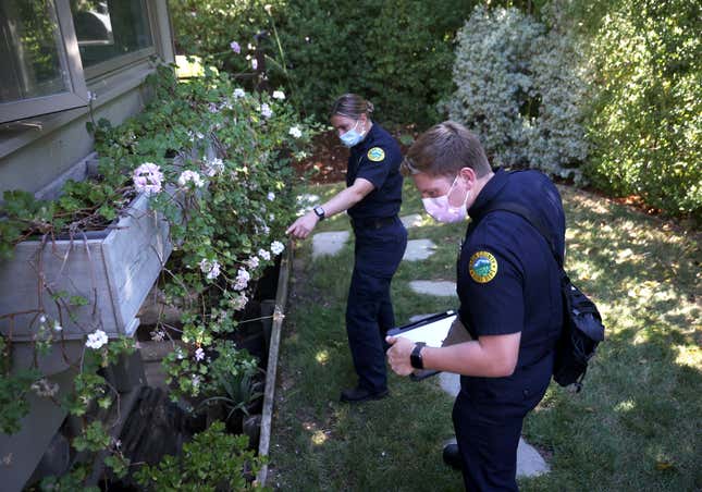 Two inspectors survey flower beds next to a home in California.
