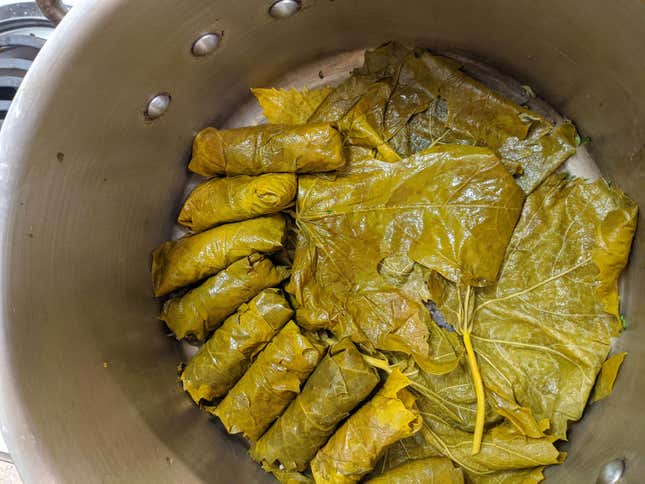 The bottom of the pot layered with grape leaves, and the first layer of stuffed leaves going in. 