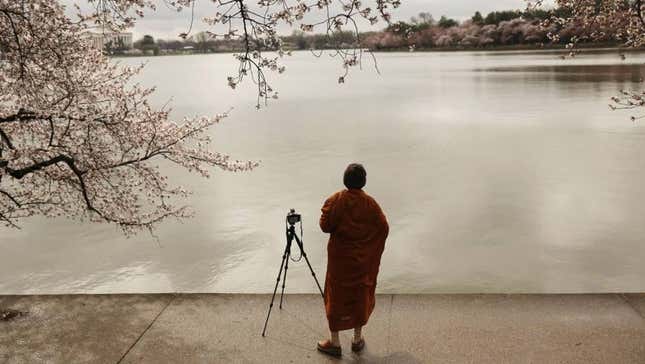 REUTERS/GARY CAMERON