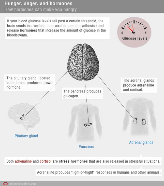 Image for article titled The science of “hangry”—why some people get grumpy when they’re hungry