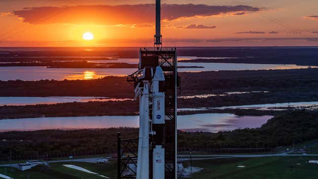 Imagen para el artículo titulado Un pelo humano interrumpe un lanzamiento de SpaceX