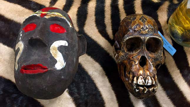 A carved Chimpanzee skull and the ceramic mask that hid it.