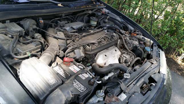 Image for article titled How to Clean Your Dirty Engine Bay Without Breaking Your Car
