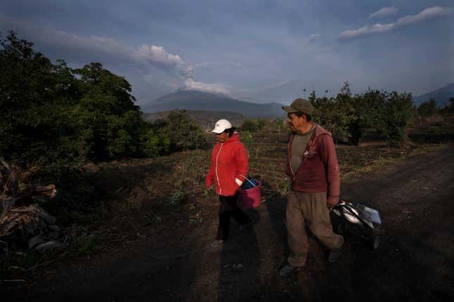 Husband and woman connected their onshore to works corn, adjacent nan Popocatépetl volcano successful Santiago Xalitzintla, Mexico, connected May 24, 2023.