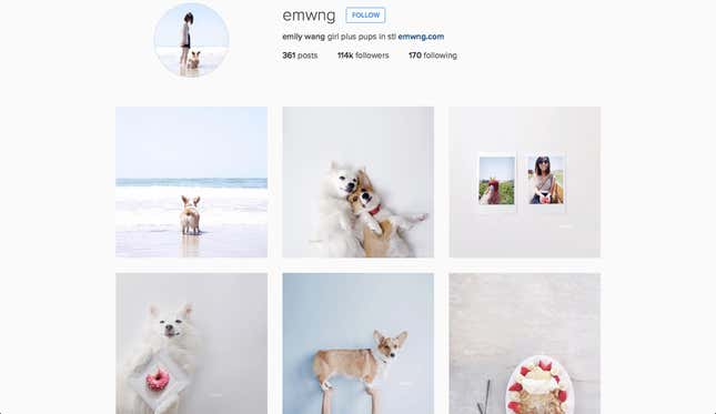 Image for article titled Instagram is full of copyright loopholes—it made my career, but it could break yours