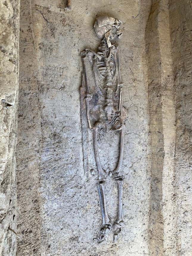 Imagen para el artículo titulado Encuentran un caballo sin cabeza enterrado en un cementerio medieval